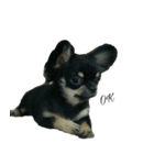 Gogo-dog（個別スタンプ：7）