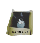 ゆずの日々（個別スタンプ：2）