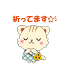 ひまわりにゃんこの日常会話（個別スタンプ：7）