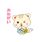 ひまわりにゃんこの日常会話（個別スタンプ：24）