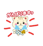 ひまわりにゃんこの日常会話（個別スタンプ：27）