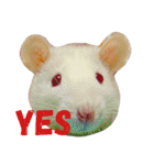 我が家の愉快な仲間たち（個別スタンプ：3）