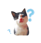 我が家の愉快な仲間たち（個別スタンプ：8）