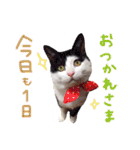 我が家の愉快な仲間たち（個別スタンプ：13）