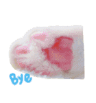 我が家の愉快な仲間たち（個別スタンプ：15）