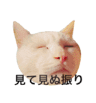 我が家の愉快な仲間たち（個別スタンプ：17）