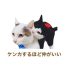 我が家の愉快な仲間たち（個別スタンプ：33）