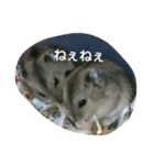 それいけ！ネズミーズ3（個別スタンプ：5）