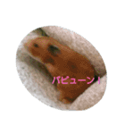 それいけ！ネズミーズ3（個別スタンプ：7）