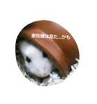 それいけ！ネズミーズ3（個別スタンプ：10）