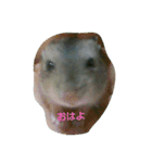 それいけ！ネズミーズ3（個別スタンプ：13）