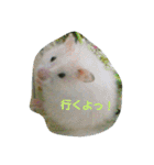 それいけ！ネズミーズ3（個別スタンプ：14）