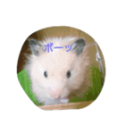 それいけ！ネズミーズ3（個別スタンプ：18）
