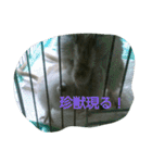 それいけ！ネズミーズ3（個別スタンプ：19）
