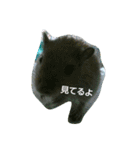 それいけ！ネズミーズ3（個別スタンプ：24）