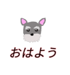 soruto（個別スタンプ：1）