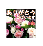 薔薇の花♡アソート5_挨拶メッセージ（個別スタンプ：3）