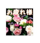 薔薇の花♡アソート5_挨拶メッセージ（個別スタンプ：4）