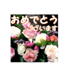 薔薇の花♡アソート5_挨拶メッセージ（個別スタンプ：8）