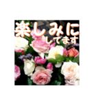 薔薇の花♡アソート5_挨拶メッセージ（個別スタンプ：9）