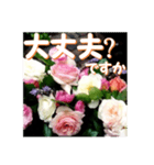 薔薇の花♡アソート5_挨拶メッセージ（個別スタンプ：11）