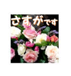 薔薇の花♡アソート5_挨拶メッセージ（個別スタンプ：12）
