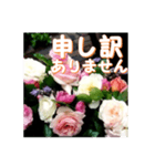 薔薇の花♡アソート5_挨拶メッセージ（個別スタンプ：13）