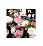 薔薇の花♡アソート5_挨拶メッセージ（個別スタンプ：15）