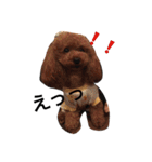 愛犬のプードルちゃん♡.1（個別スタンプ：4）