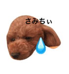 愛犬のプードルちゃん♡.1（個別スタンプ：10）