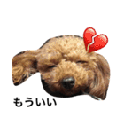 愛犬のプードルちゃん♡.1（個別スタンプ：11）