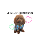 愛犬のプードルちゃん♡.1（個別スタンプ：40）