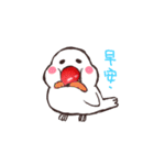 Java sparrow Unique（個別スタンプ：4）