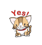 みぃころ その1（個別スタンプ：1）