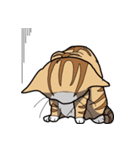 みぃころ その1（個別スタンプ：3）