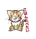 みぃころ その1（個別スタンプ：4）