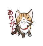 みぃころ その1（個別スタンプ：5）