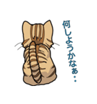 みぃころ その1（個別スタンプ：6）