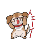 みぃころ その1（個別スタンプ：12）