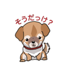 みぃころ その1（個別スタンプ：15）