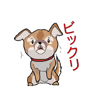 みぃころ その1（個別スタンプ：16）