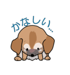 みぃころ その1（個別スタンプ：20）