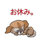 みぃころ その1（個別スタンプ：21）