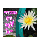 Thai Slogan（個別スタンプ：14）