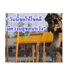 Thai Slogan（個別スタンプ：16）