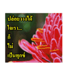 Thai Slogan（個別スタンプ：21）