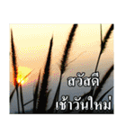 Thai Slogan（個別スタンプ：22）