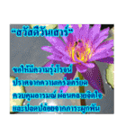 Thai Slogan（個別スタンプ：28）