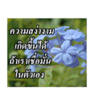Thai Slogan（個別スタンプ：37）
