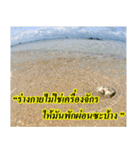 Thai Slogan（個別スタンプ：40）